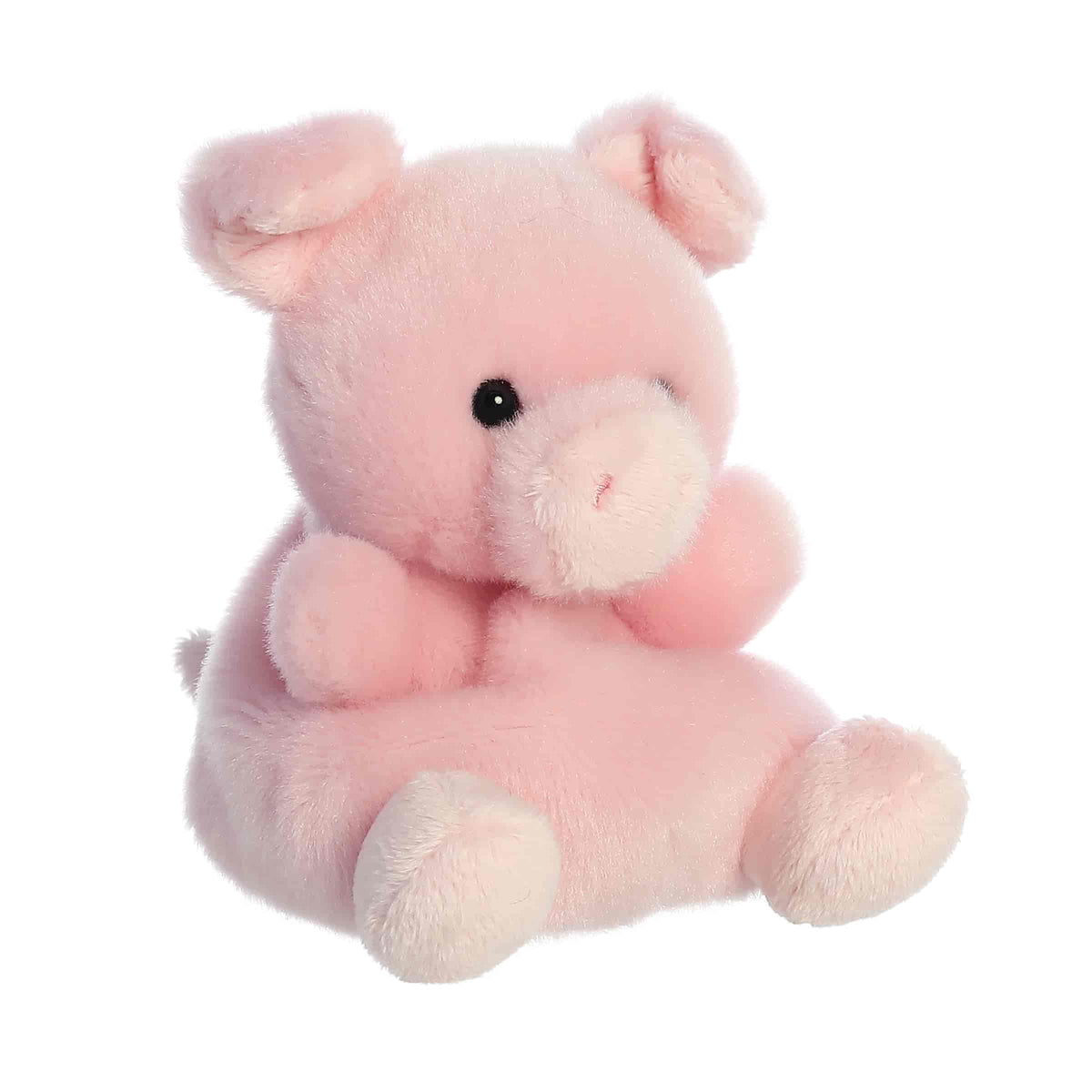 Palm Pals Wizard Pig™
