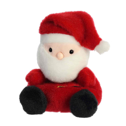 Palm Pals Santa
